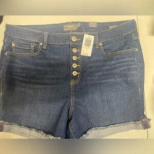 Torrid shorts